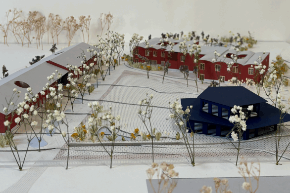 zorgwoningen Molendries